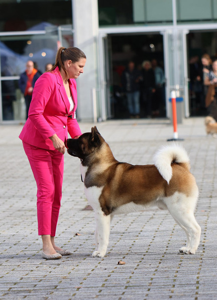 aa_bos_cacib rostock_2024