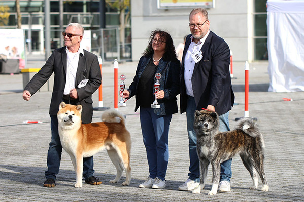 ja_bobbos_cacib rostock_2024